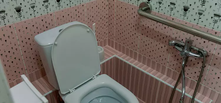 Meeting Diverse Needs With Accessible Restroom Solutions in Sparks, NV