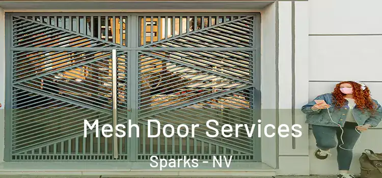 Mesh Door Services Sparks - NV